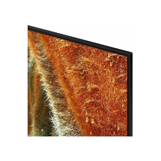 Televisie Samsung 65