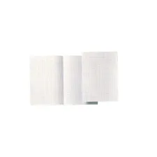 ATLANTA Accountantspapier Dubbel A4 14 kolommen (100 vellen) ATLANTA Accountantspapier Dubbel A4 14 kolommen (100 vellen)