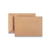 Akte envelop gegomde klep - EC4 240 x 340 mm 100 g/m² (pak 250 stuks) Akte envelop gegomde klep - EC4 240 x 340 mm 100 g/m² (pak 250 stuks)