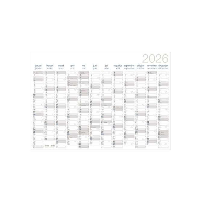 Annoplan Jaarplanner. 700 x 1000 mm