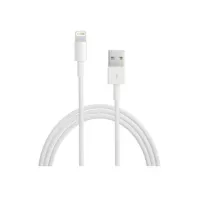 Apple Lightning naar USB kabel mannelijk 4 pins USB type A mannelijk 2 m