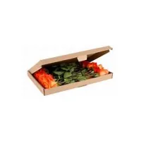 Brievenbusdoos SPLS 345x255x28mm (10 stuks)