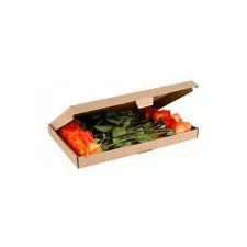 Brievenbusdoos SPLS 345x255x28mm (10 stuks) Brievenbusdoos SPLS 345x255x28mm (10 stuks)