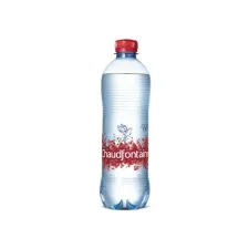 Chaudfontaine Rood Mineraalwater Koolzuurhoudend 0.5 l Petfles (pak 24 x 500 milliliter)