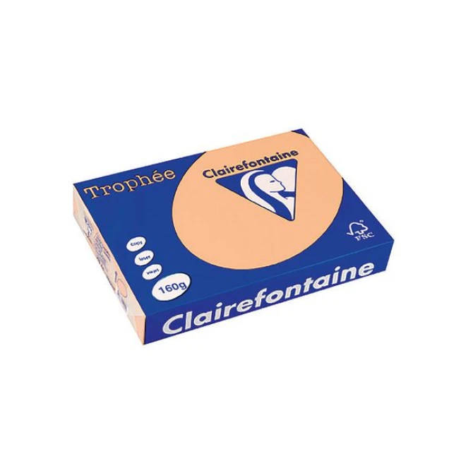 Clairefontaine A4 Papier 160 g/m² Zalmroze (pak 250 vel) Clairefontaine A4 Papier 160 g/m² Zalmroze (pak 250 vel)
