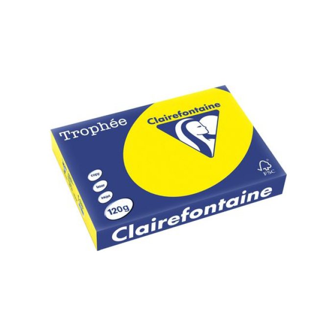 Clairefontaine Multifunctioneel Papier A4 120 g/m² Felgeel (pak 250 vel) Clairefontaine Multifunctioneel Papier A4 120 g/m² Felgeel (pak 250 vel)