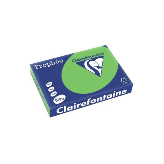 Clairefontaine Multifunctioneel Papier A4 120 g/m² Grasgroen (pak 250 vel)