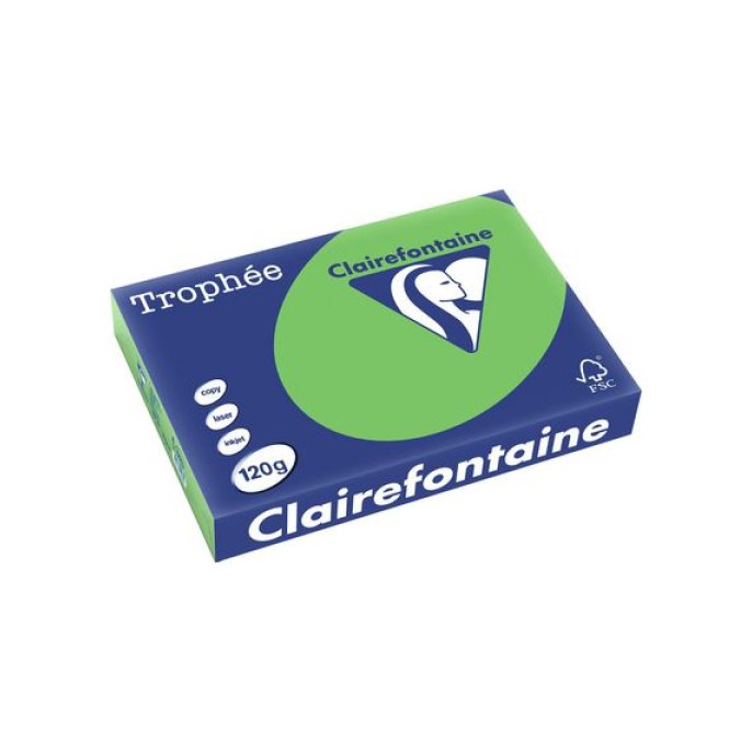 Clairefontaine Multifunctioneel Papier A4 120 g/m² Grasgroen (pak 250 vel) Clairefontaine Multifunctioneel Papier A4 120 g/m² Grasgroen (pak 250 vel)