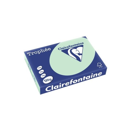 Clairefontaine Multifunctioneel Papier A4 120 g/m² Groen (pak 250 vel)