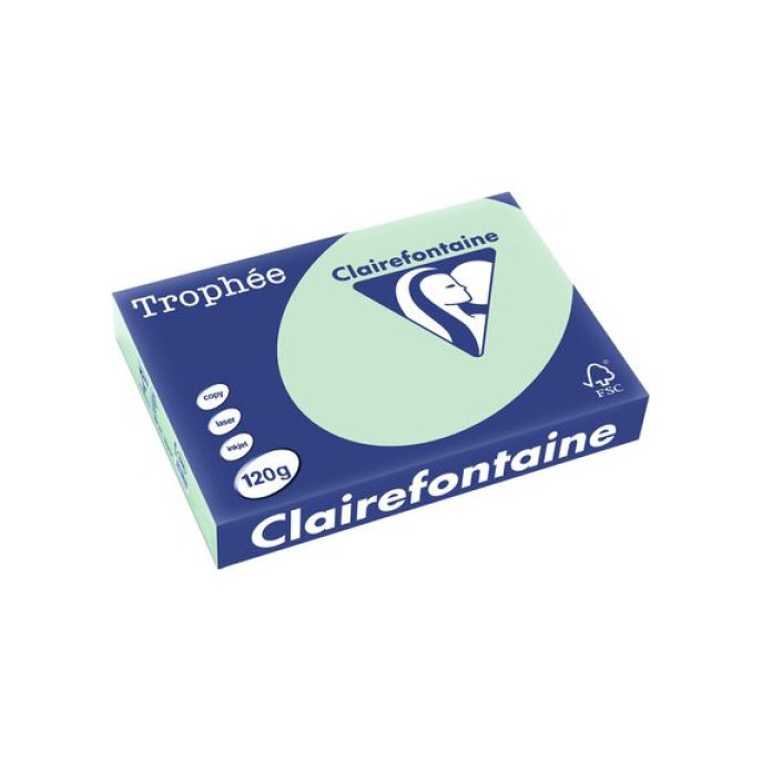 Clairefontaine Multifunctioneel Papier A4 120 g/m² Groen (pak 250 vel) Clairefontaine Multifunctioneel Papier A4 120 g/m² Groen (pak 250 vel)
