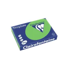 Clairefontaine Multifunctioneel Papier A4 120 g/m² Grasgroen (pak 250 vel) Clairefontaine Multifunctioneel Papier A4 120 g/m² Grasgroen (pak 250 vel)