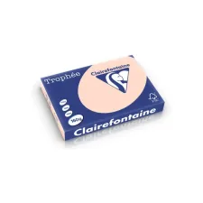 CLAIREFONTAINE Papier CF Trophee A3 160g zalm (pak 250 vel) CLAIREFONTAINE Papier CF Trophee A3 160g zalm (pak 250 vel)