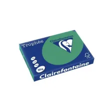 CLAIREFONTAINE Trophée Gekleurd Papier 80 g/m² Dennengroen (1 pak x 500 vellen) CLAIREFONTAINE Trophée Gekleurd Papier 80 g/m² Dennengroen (1 pak x 500 vellen)