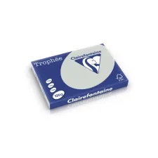 CLAIREFONTAINE Trophée Gekleurd Papier A3 120 g/m² Lichtgrijs (1 pak x 250 vellen) CLAIREFONTAINE Trophée Gekleurd Papier A3 120 g/m² Lichtgrijs (1 pak x 250 vellen)