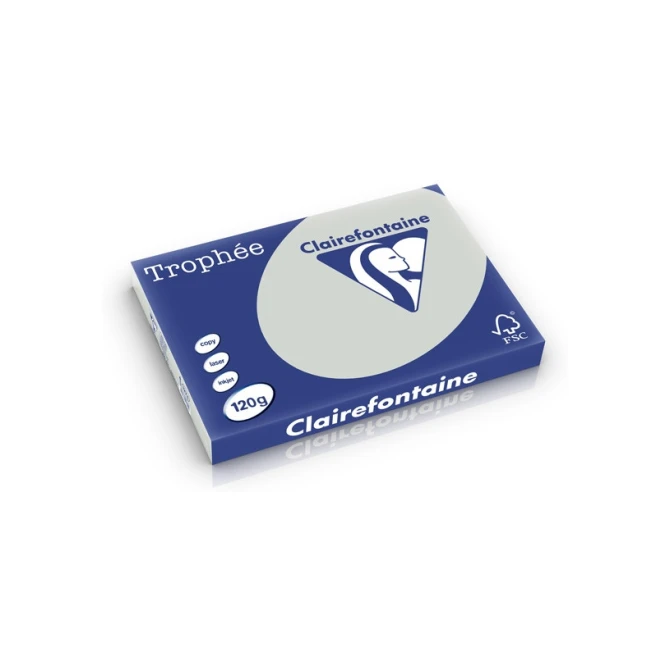 CLAIREFONTAINE Trophée Gekleurd Papier A3 120 g/m² Lichtgrijs (1 pak x 250 vellen)