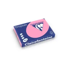 CLAIREFONTAINE Trophée Gekleurd Papier A3 160 g/m² Felroze (1 pak x 250 vellen) CLAIREFONTAINE Trophée Gekleurd Papier A3 160 g/m² Felroze (1 pak x 250 vellen)
