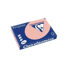 CLAIREFONTAINE Trophée Gekleurd Papier A3 80 g/m² Perzik (1 pak x 500 vellen)