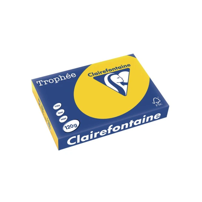 Clairefontaine Trophée Papier A4 120 g/m² Goudgeel (pak 250 vel)