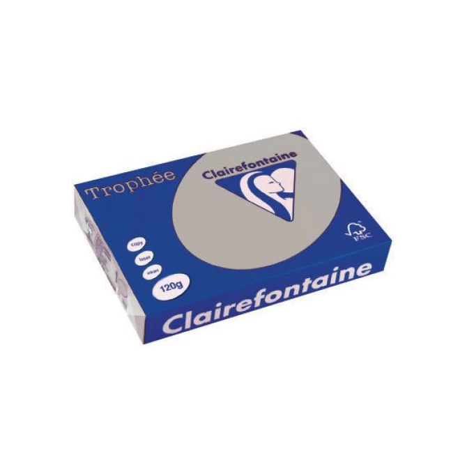 Clairefontaine Trophée Papier A4 120 g/m² Lichtgrijs (pak 250 vel)