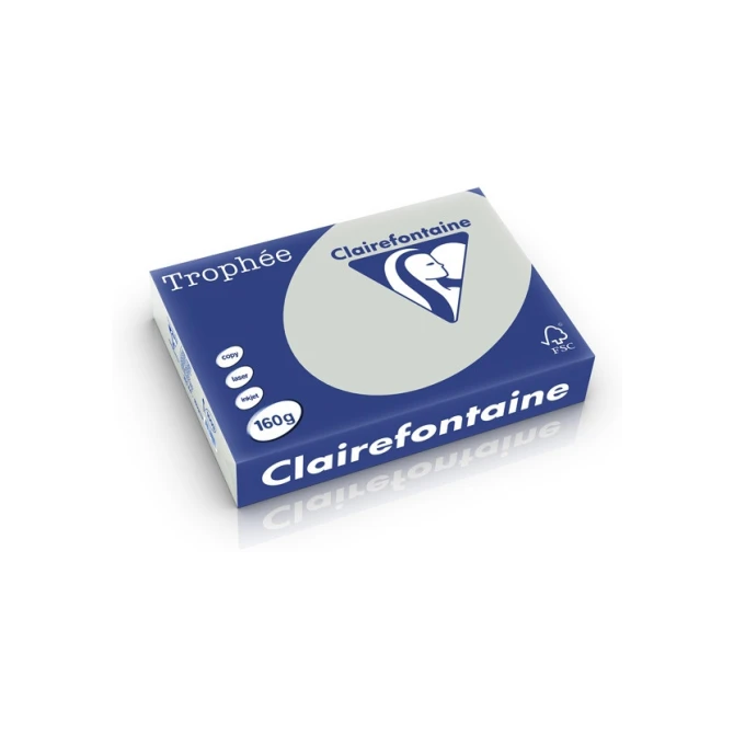 Clairefontaine Trophée Papier A4 160 g/m² Lichtgrijs (pak 250 vel)