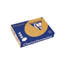 Clairefontaine Trophée Papier A4 160 g/m² Mokka (pak 250 vel)