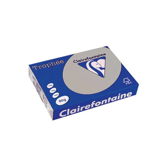 Clairefontaine Trophée Papier A4 80 g/m² Lichtgrijs (pak 500 vel)