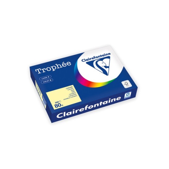 Clairefontaine Trophée Gekleurd Papier A4 80 g/m² Kanariegeel (1 pallet x 240 pak)