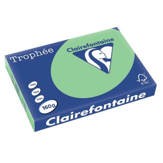 Clairefontaine Trophée Papier A3 160 g/m² Natuurgroen (doos 4 x 250 vel)