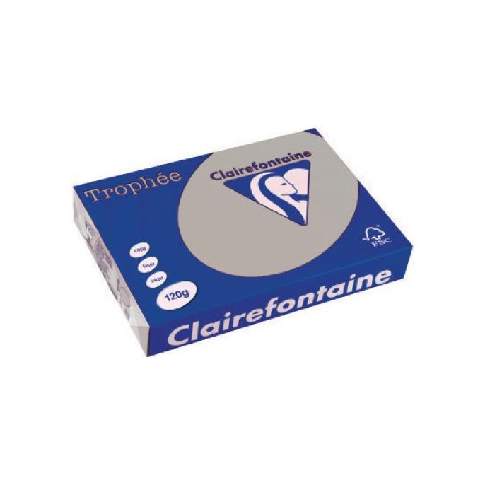 Clairefontaine Trophée Papier A4 120 g/m² Lichtgrijs (pak 250 vel) Clairefontaine Trophée Papier A4 120 g/m² Lichtgrijs (pak 250 vel)