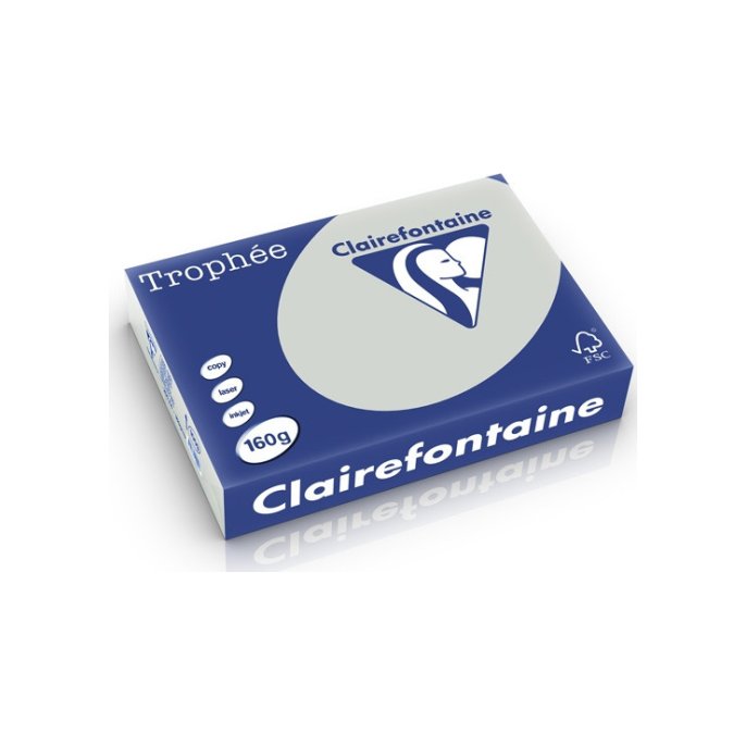 Clairefontaine Trophée Papier A4 160 g/m² Lichtgrijs (pak 250 vel) Clairefontaine Trophée Papier A4 160 g/m² Lichtgrijs (pak 250 vel)