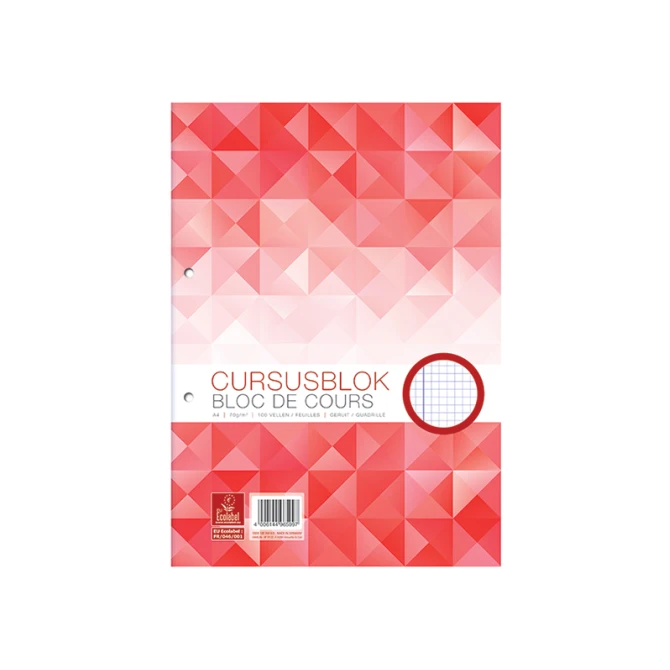 Cursusblok Work A4 ruit 70g