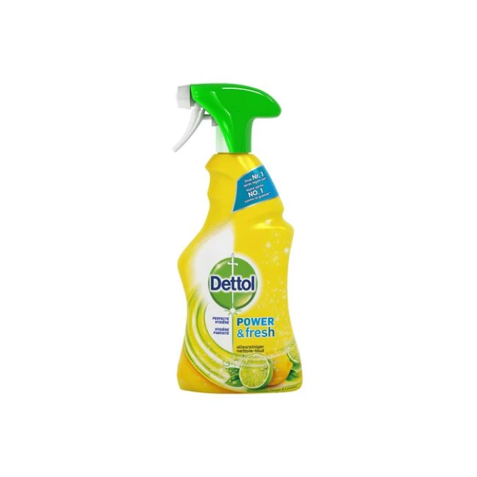 Dettol Power And Fresh Allesreiniger Spray (fles 500 milliliter)