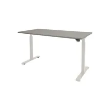 Dextro Basic Verstelbaar Bureau 120 x 80 cm Lichtgrijs Wit Dextro Basic Verstelbaar Bureau 120 x 80 cm Lichtgrijs Wit