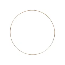 Creotime Draadring D30cm dikte 3mm metaal goud