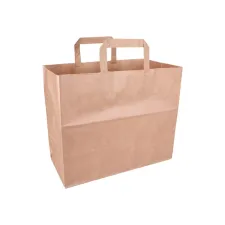 Draagtas 320x270x160mm papier br/ds250 Draagtas 320x270x160mm papier br/ds250
