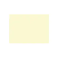 Duni Placemat Champagne (pak 250 stuks) Duni Placemat Champagne (pak 250 stuks)