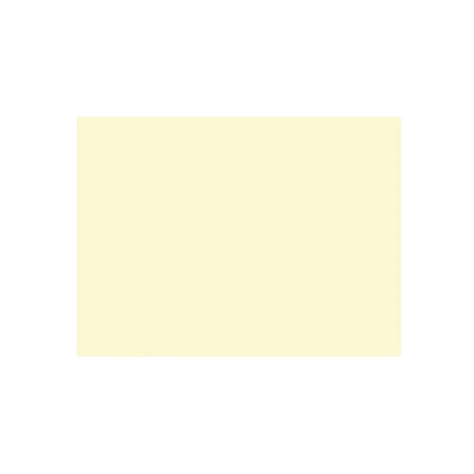 Duni Placemat Champagne (pak 250 stuks)