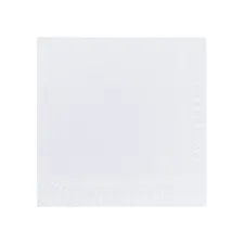 Duni Servetten 2 laags (pak 300 stuks)