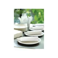 Duni Wegwerp servetten 2-laags wit 24 x 24 cm verpakking van 300 (doos 8 x 300 stuks)