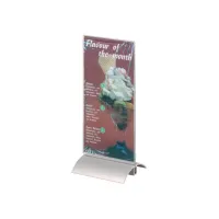 DURABLE Presenter tafelstandaard 1/3 A4 h 237 x b 107 x d 85 cm