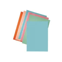 ESSELTE A4 Vouwmap 220 x 310 mm Blauw (pak 250 stuks) ESSELTE A4 Vouwmap 220 x 310 mm Blauw (pak 250 stuks)
