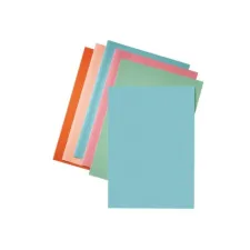 ESSELTE A4 Vouwmap 220 x 310 mm Blauw (pak 250 stuks) ESSELTE A4 Vouwmap 220 x 310 mm Blauw (pak 250 stuks)