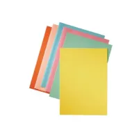 ESSELTE A4 Vouwmap 220 x 310 mm Geel (pak 250 stuks) ESSELTE A4 Vouwmap 220 x 310 mm Geel (pak 250 stuks)