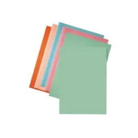 ESSELTE A4 Vouwmap 220 x 310 mm Groen (pak 250 stuks) ESSELTE A4 Vouwmap 220 x 310 mm Groen (pak 250 stuks)