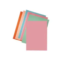 ESSELTE A4 Vouwmap 220 x 310 mm Roze (pak 250 stuks) ESSELTE A4 Vouwmap 220 x 310 mm Roze (pak 250 stuks)