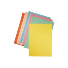 ESSELTE A4 Vouwmap 220 x 310 mm Chamois (pak 250 stuks) ESSELTE A4 Vouwmap 220 x 310 mm Chamois (pak 250 stuks)