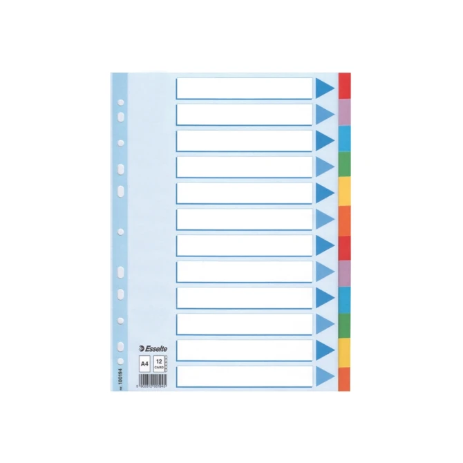 ESSELTE Gekleurde kartonnen tabbladen A4 11 rings 2 x 6 kleuren
