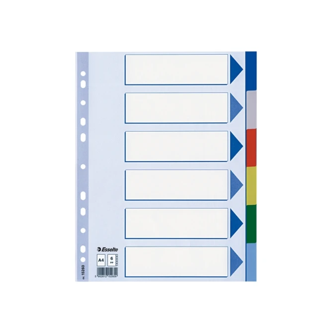 ESSELTE Gekleurde kunststof tabbladen A4 11 rings 6 kleuren