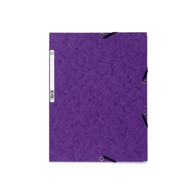 EXACOMPTA Elastomap Nature Future A4 400 g/m² paars (pak 25 stuks)