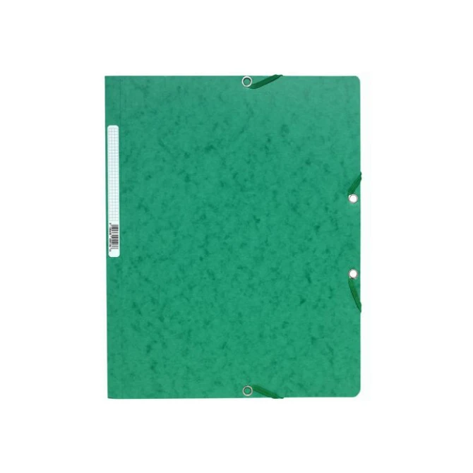 EXACOMPTA Elastomap Nature Future zonder kleppen A4 400 g/m² groen (pak 25 stuks) EXACOMPTA Elastomap Nature Future zonder kleppen A4 400 g/m² groen (pak 25 stuks)